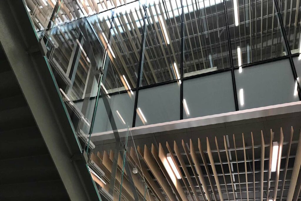 Lodi, Facoltà di veterinaria Unimi — foto 8
